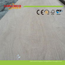 Bendable Plywood Home Depot with High Quality